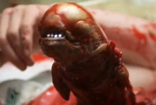 220px-Alien_(1979)_Alien_Born