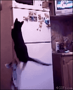 tumblr_m5ugjv0AaJ1qdlh1io2_250