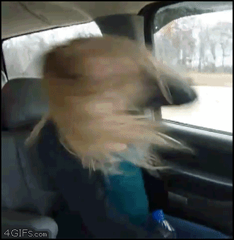 Whips_hair_jiggles