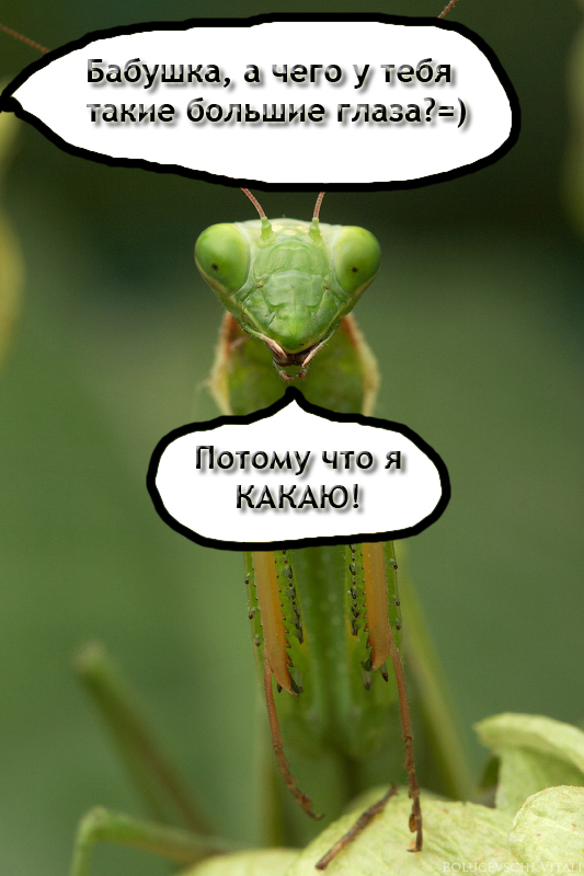 post-3-12548003688494 copy