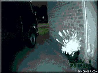 funnygifscatburglarcaughtredpawed