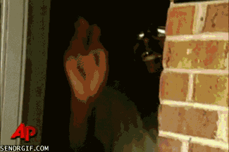 гифки-звездные-войны-35872