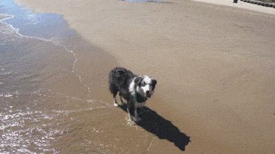 tumblr_m67x5eJzMk1r06m1wo1_400