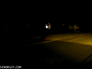 doingacirclewheelieinfrontofcops