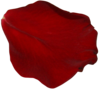 lepestok_1