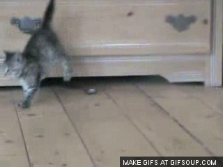 dagvello_o_GIFSoup.com