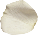 lepestok_8