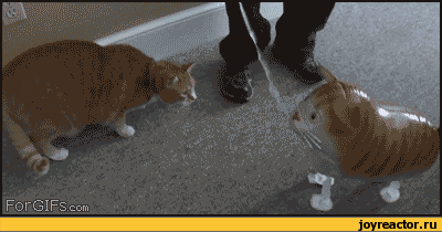 %D0%B3%D0%B8%D1%84%D0%BA%D0%B8-%D0%BA%D0%BE%D1%82%D1%8D-66967[2]