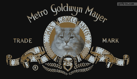 1339605680_the_metro_goldwyn_mayer_kitten