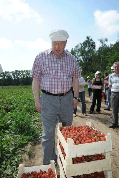 жирик