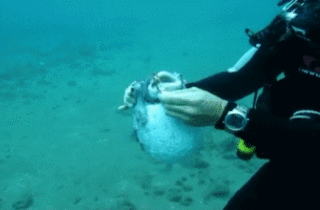 8a642064bccd602f4446a01