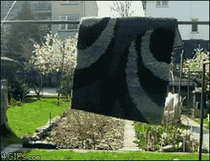Hidden-carpet-ninja