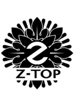 логотип Z-TOP