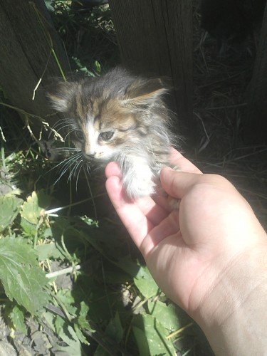 28a97c2b56fe267eb8fc3d58e8216f3a