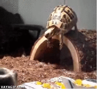 24dd5a790ab0799640b7733