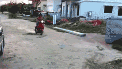 tumblr_lwklvlqgu51qfjjglo5_250