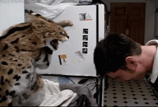 mortal-kombat-130451