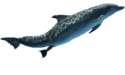 Безымянный