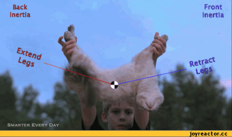 D0BFD0B5D181D0BED187D0BDD0B8D186D0B0D0B3D0B8D184D0BAD0B8D0BAD0BED182D0B8D181D0BFD18BD182D0B0D0BDD0B8