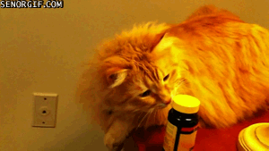 dRm6EV1Lc06ExJdfdTuRVQ2