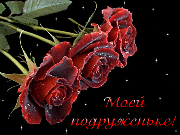 55348329_52272824_d83d9abb7d5a