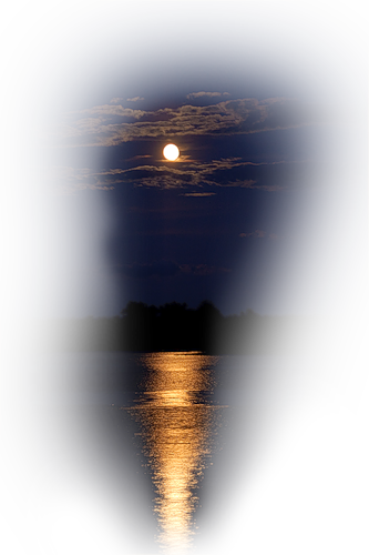 0_3b998_94ac697c_L