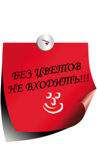 zapiska