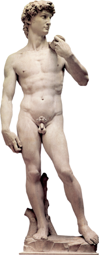 mann51