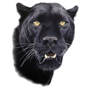 dbe05350458c15fa6c802fb686391131_XL