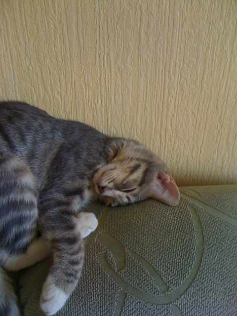 фотография2