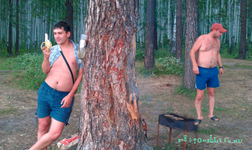 Безимени-1
