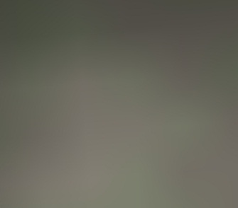 цвет бело серый