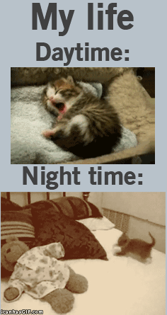 tumblr_magq6iP8Jk1r90efro1_400