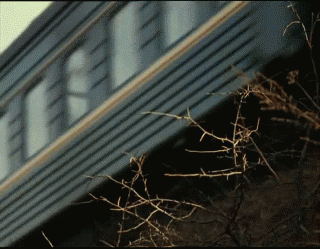 1c3ca8b84af86098db8bf6e2527cb401