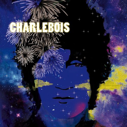 Robert Charlebois - Tout est bien  (2009)