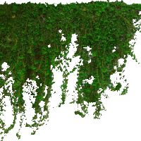 ivy1_converted