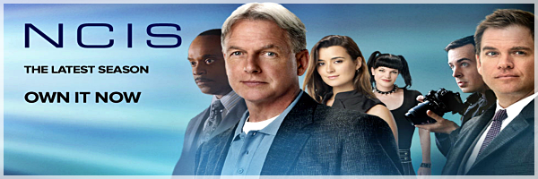 NCIS S10-logo