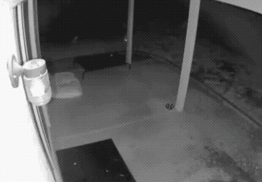 730010_original