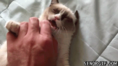 AeZhmP3mo0-X3ejUB1To7w2