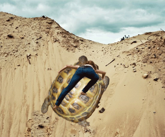 большая-черепаха