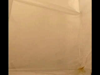 bc7d1c786b46ded66829258068766e6a