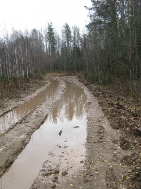 Дорога 1