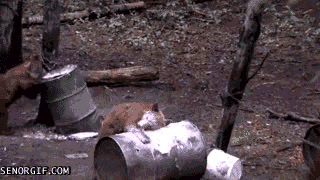 77420_yapfiles.ru