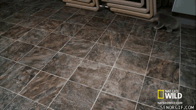 8bc5e64d307e03d4473d2435ca67c7d4