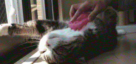 9a7c74bb_355a_4ce7_b790_7dd2d59c2000_20120808001552 2