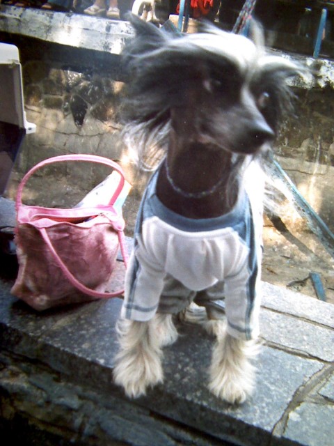 Изображение 019