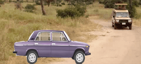 gifkislonik448974_yapfiles