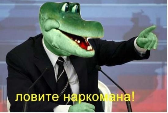 Вонни-личное-70787