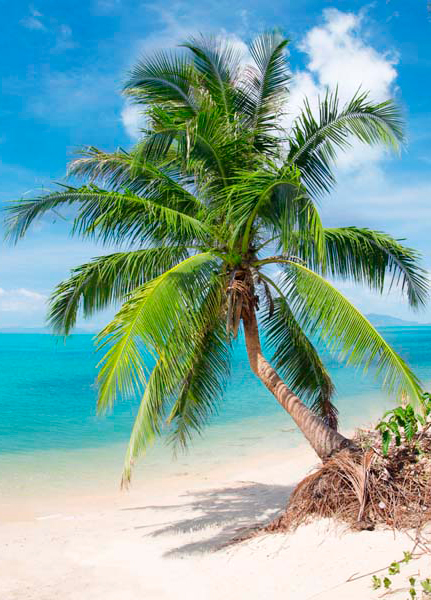 fotolia_13183323_m_03