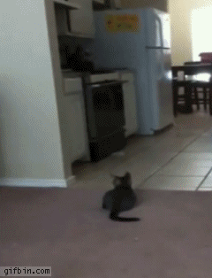 e8dd927d8eb3c04573c10c8